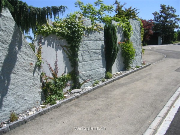 Zwischenräume mit Sträuchern unterbrochen